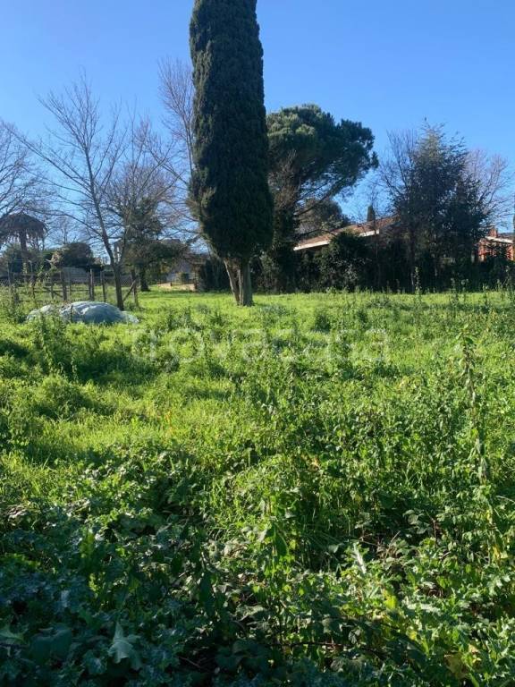 immagine annuncio 12 di 14