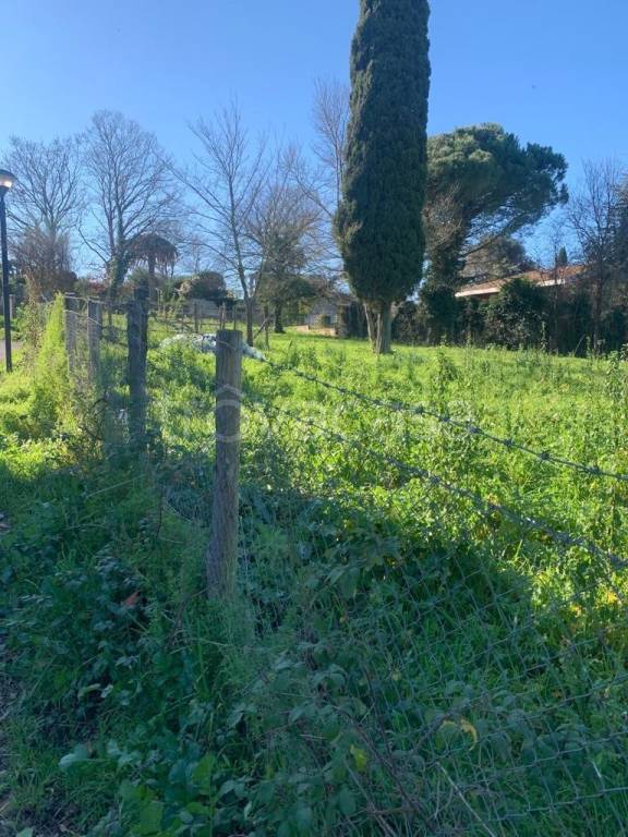 immagine annuncio 13 di 14