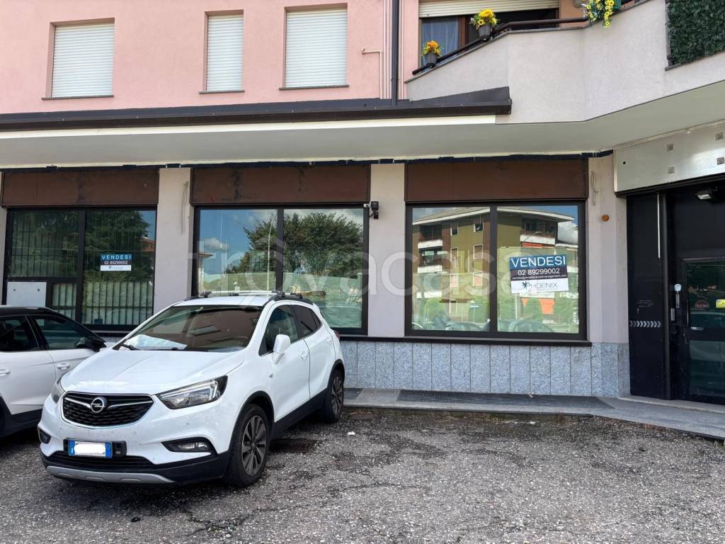 immagine annuncio 4 di 10