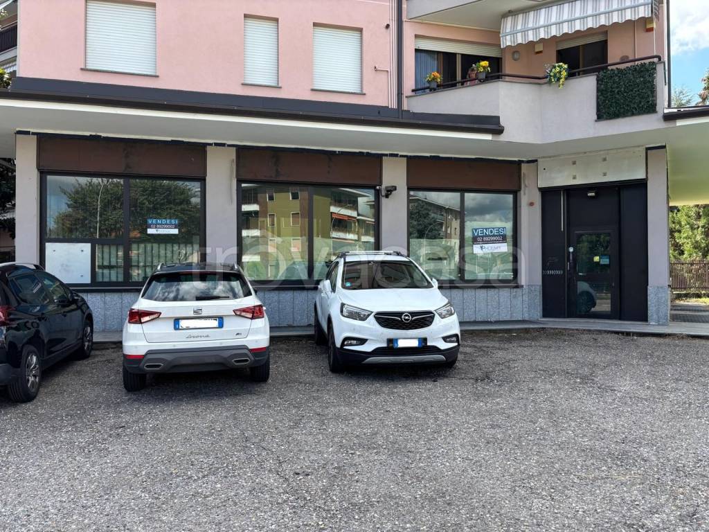 immagine annuncio 5 di 10