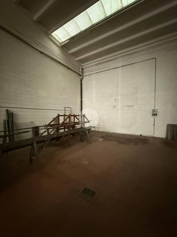 immagine annuncio 3 di 9