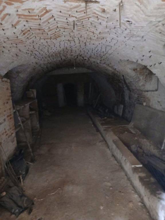 immagine annuncio 5 di 12