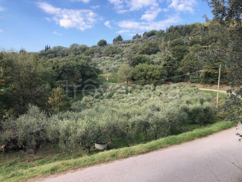 immagine annuncio 4 di 9