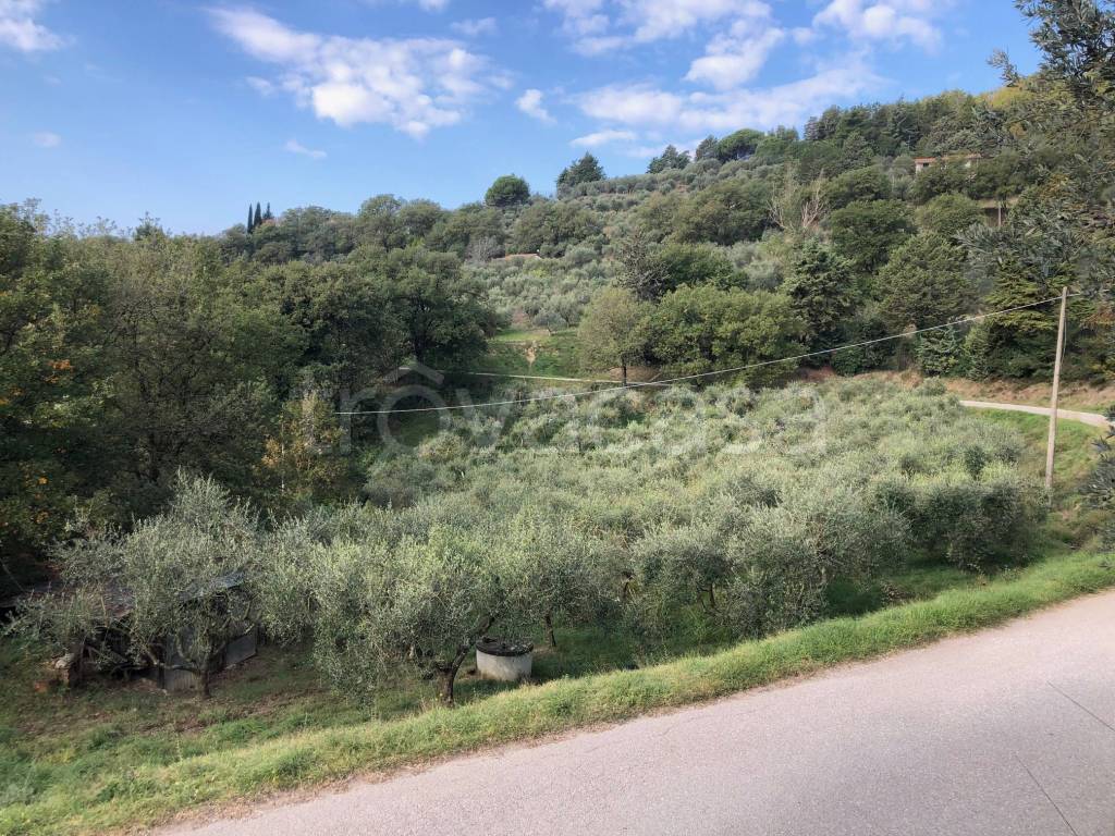 immagine annuncio 5 di 9