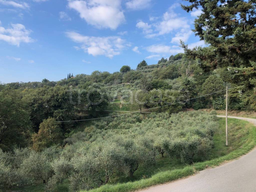 immagine annuncio 8 di 9