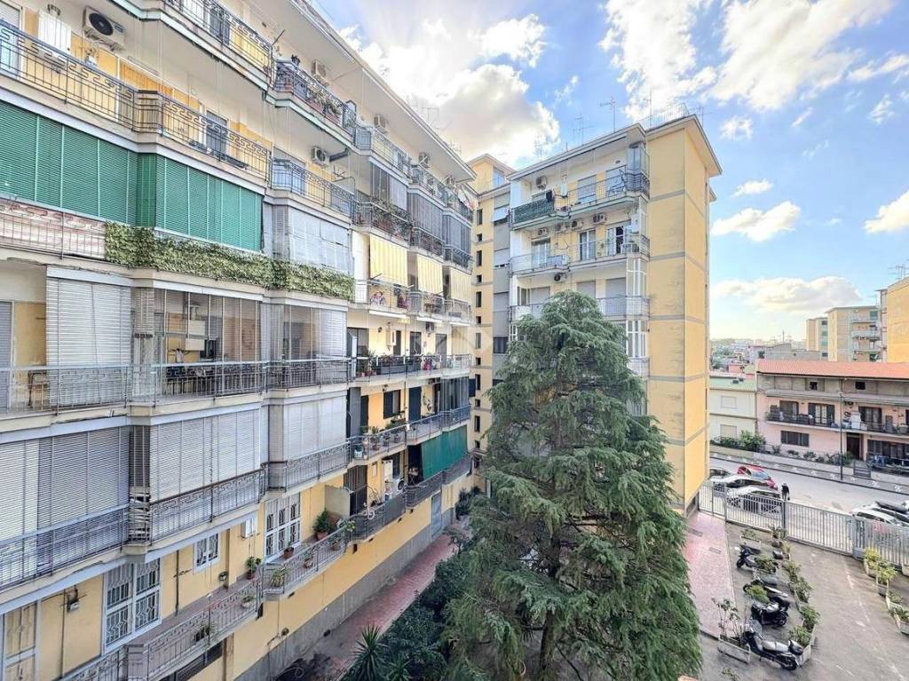 immagine annuncio 7 di 14