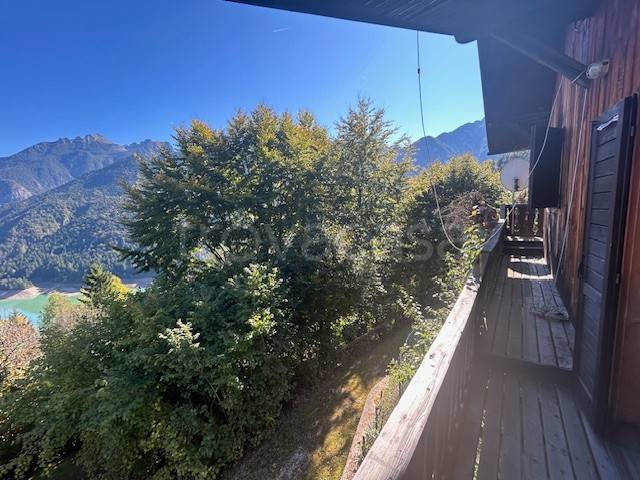 immagine annuncio 12 di 14