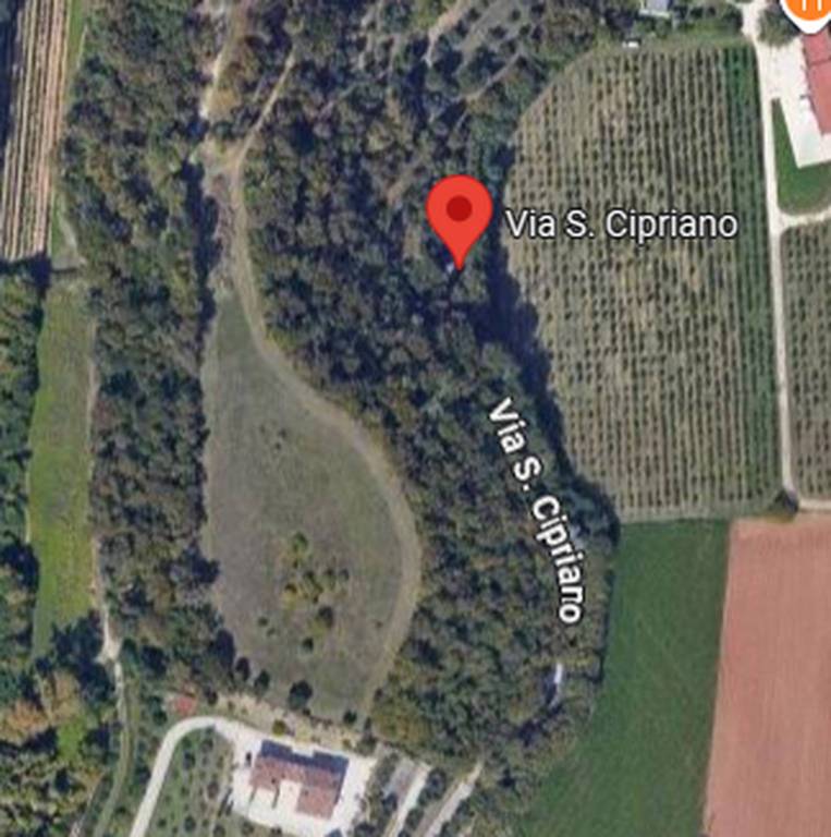 immagine annuncio 9 di 11