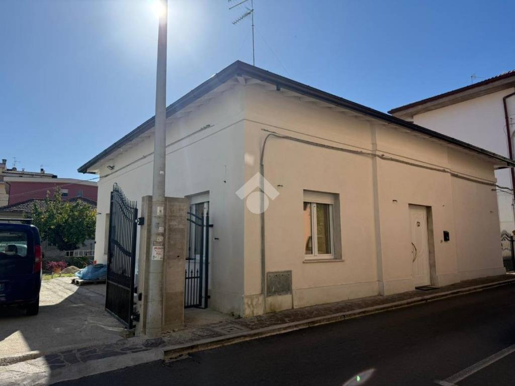 immagine annuncio 12 di 13