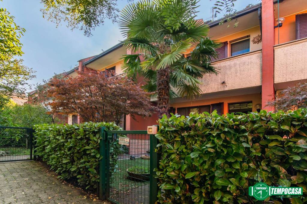 immagine annuncio 11 di 15