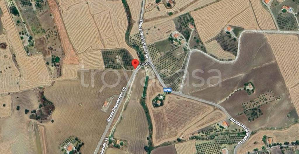 immagine annuncio 2 di 11