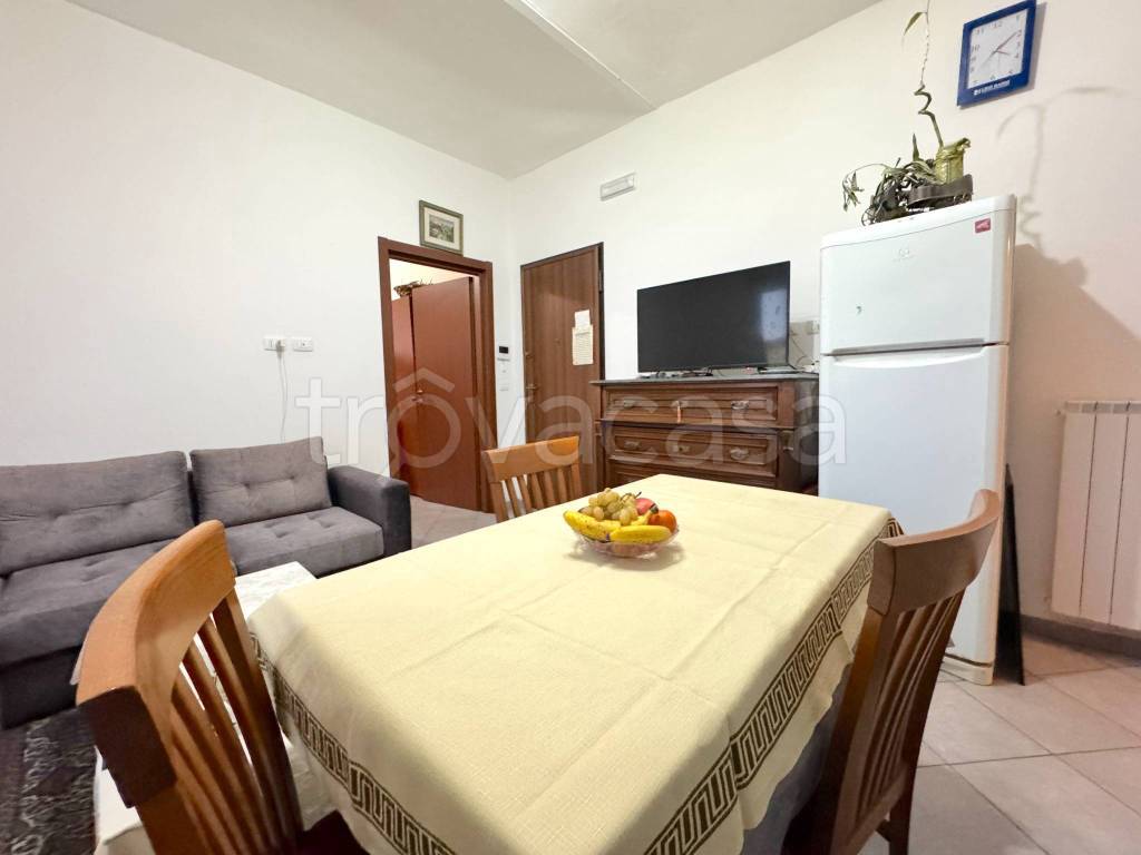 immagine annuncio 3 di 12