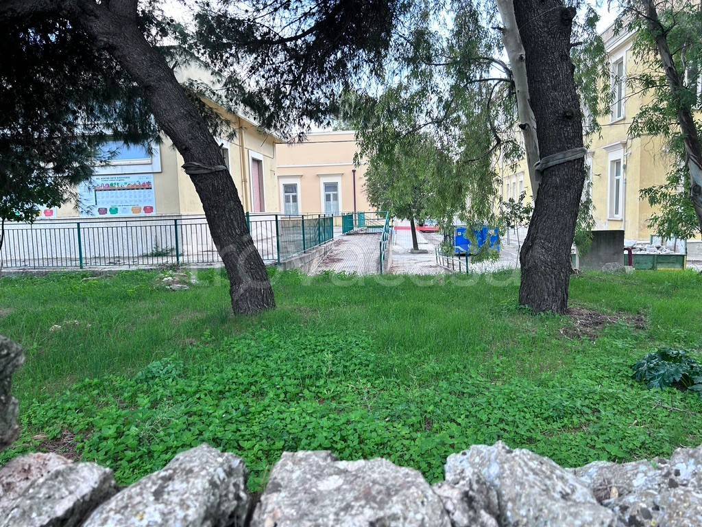 immagine annuncio 3 di 8