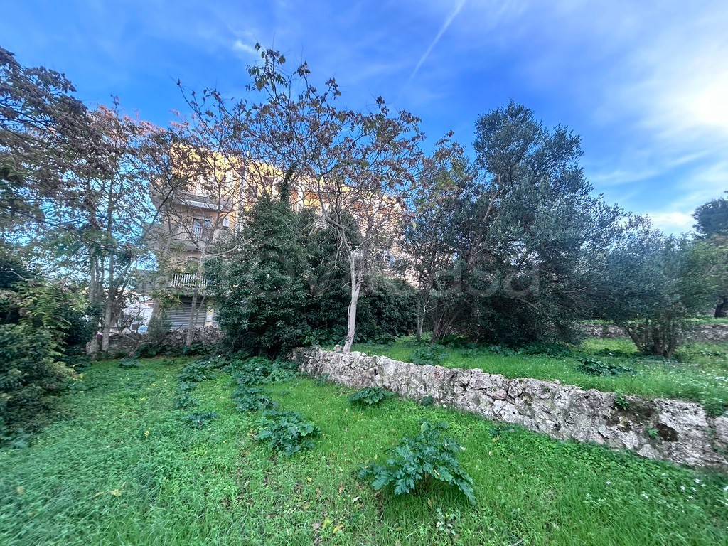 immagine annuncio 6 di 8