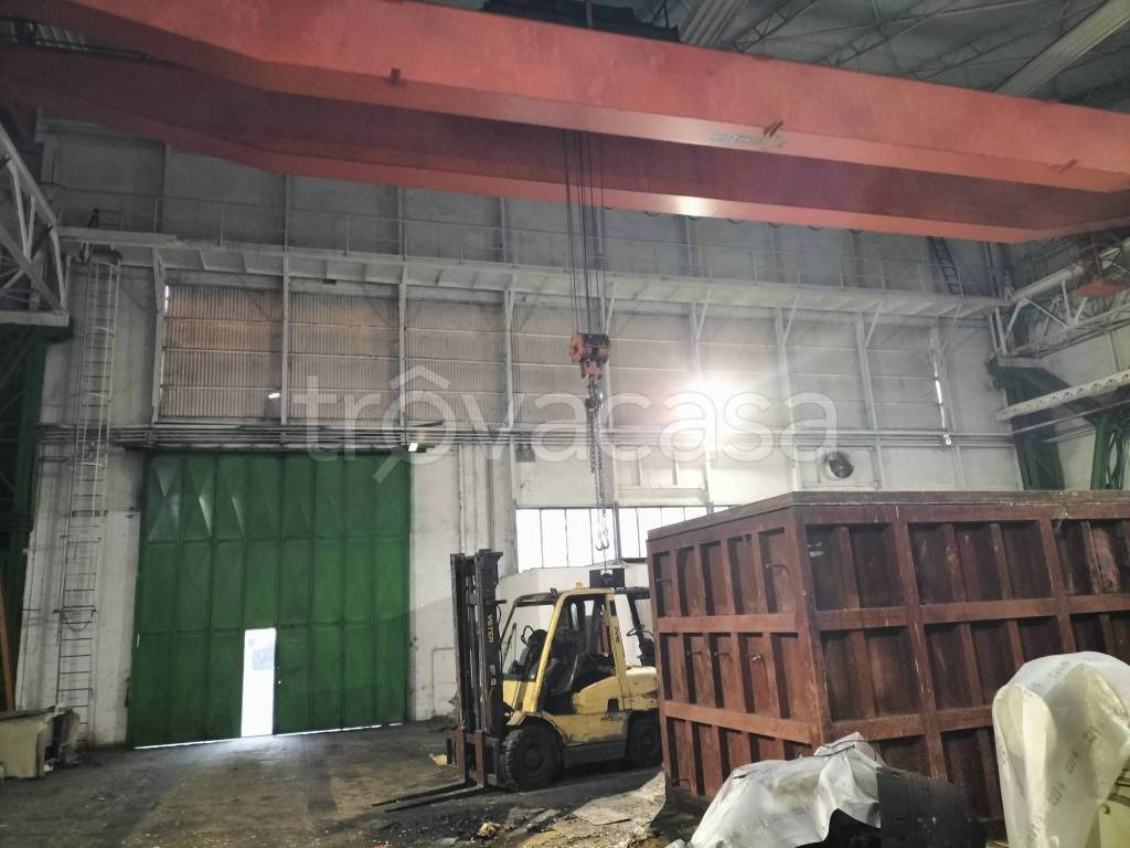 immagine annuncio 3 di 8