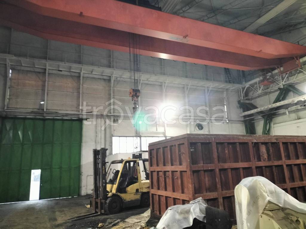 immagine annuncio 4 di 8