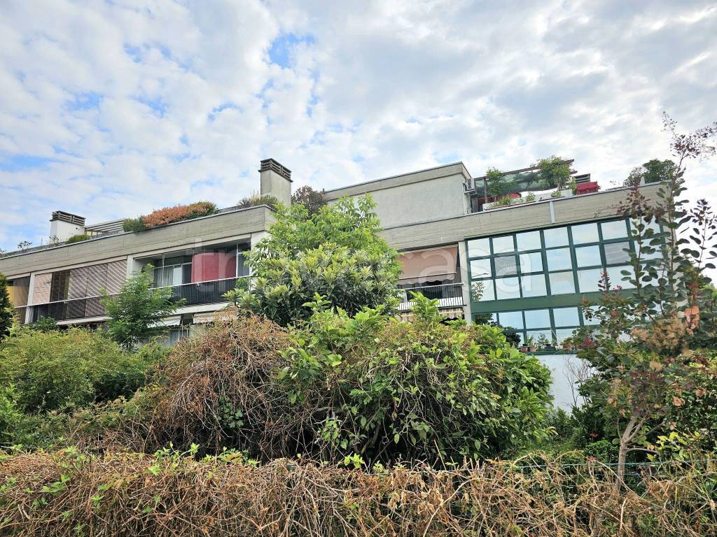 immagine annuncio 10 di 11