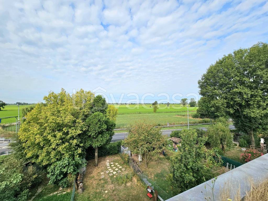 immagine annuncio 7 di 11