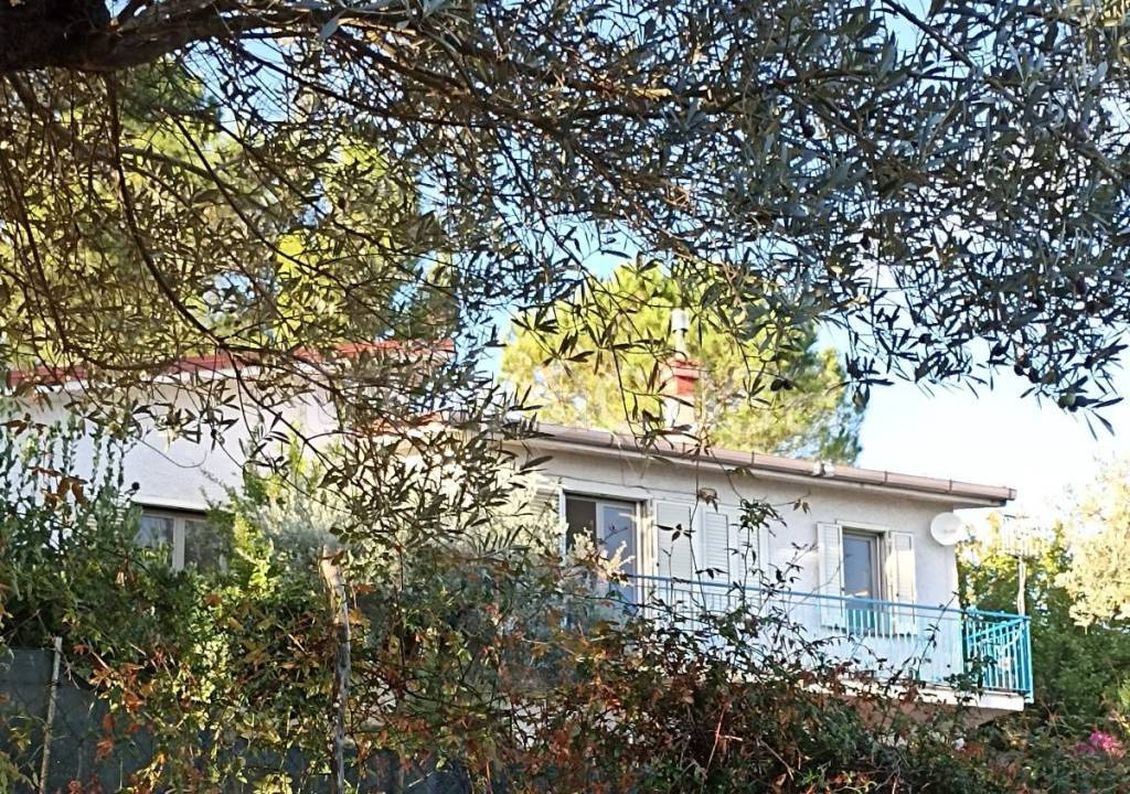 immagine annuncio 7 di 8