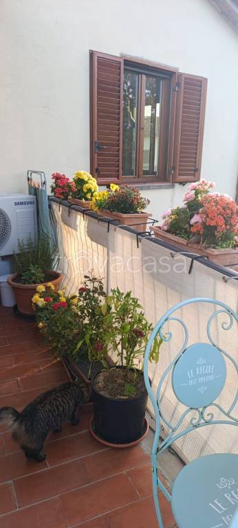 immagine annuncio 7 di 13