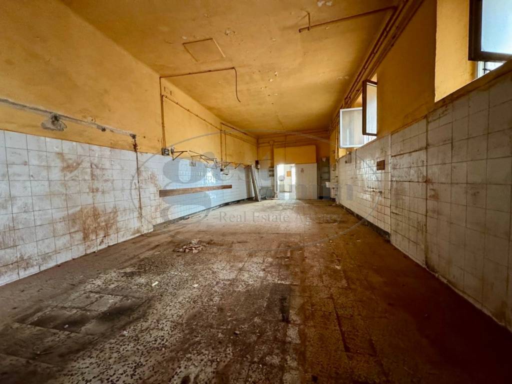 immagine annuncio 3 di 14