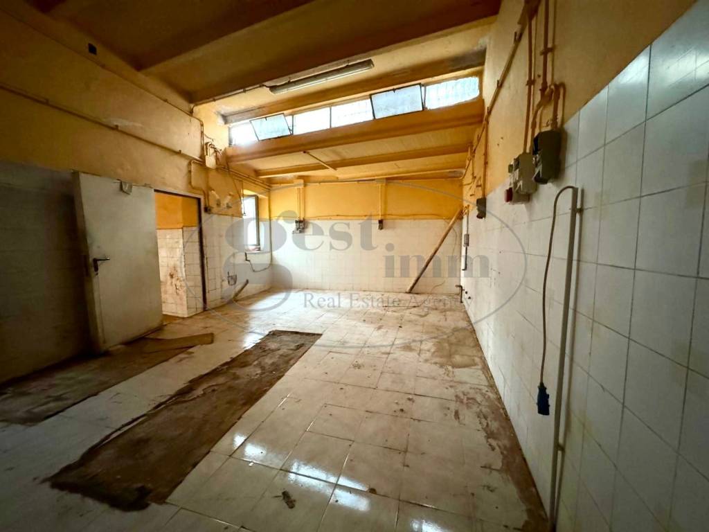 immagine annuncio 4 di 14