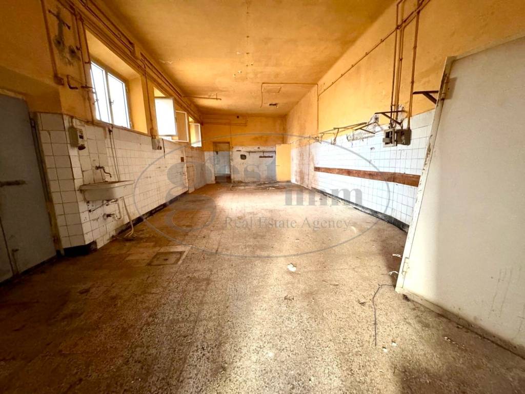 immagine annuncio 5 di 14