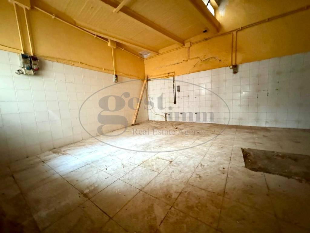 immagine annuncio 7 di 14