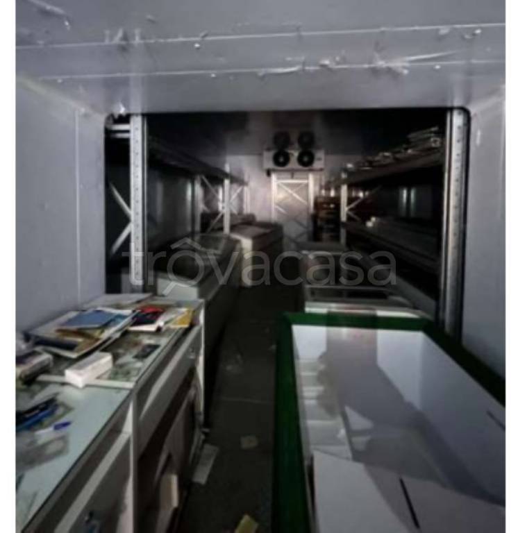 immagine annuncio 6 di 14