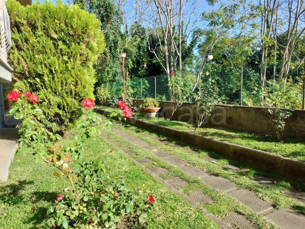 immagine annuncio 10 di 12