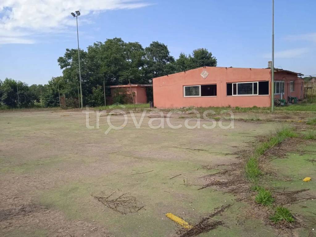 immagine annuncio 1 di 6