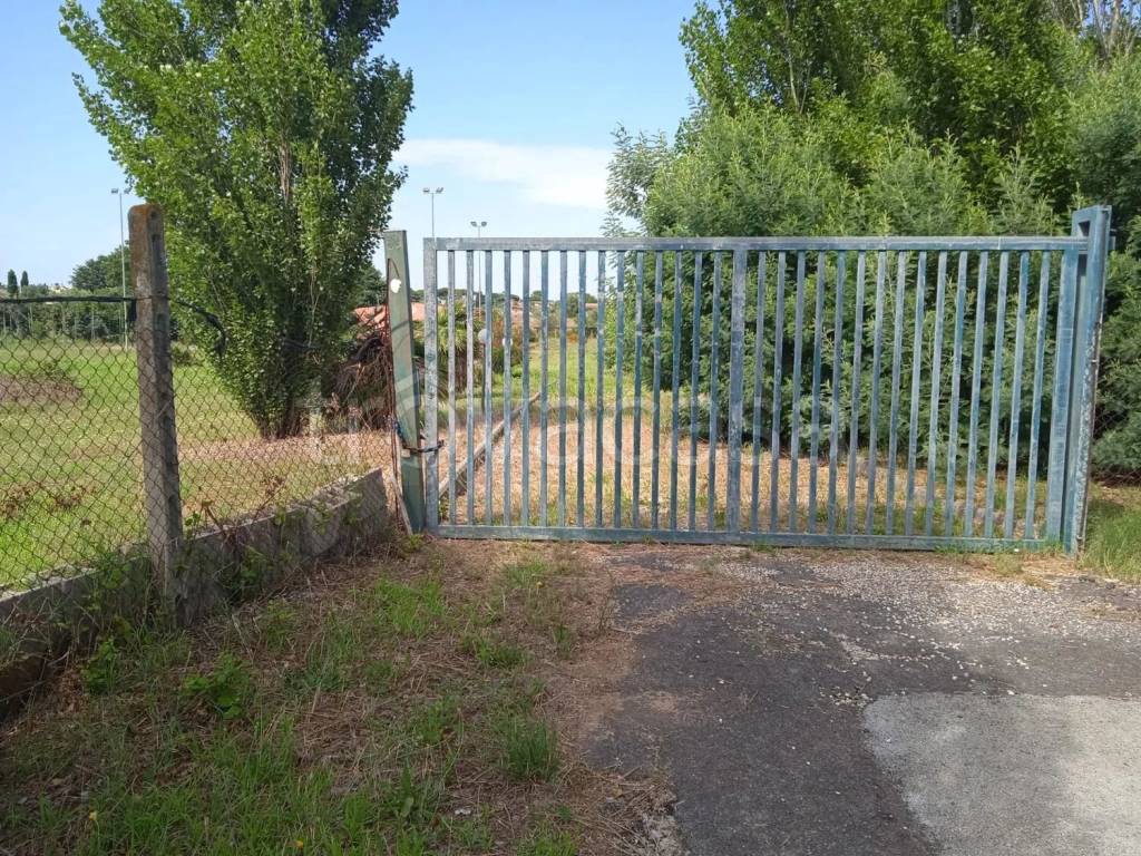 immagine annuncio 2 di 6