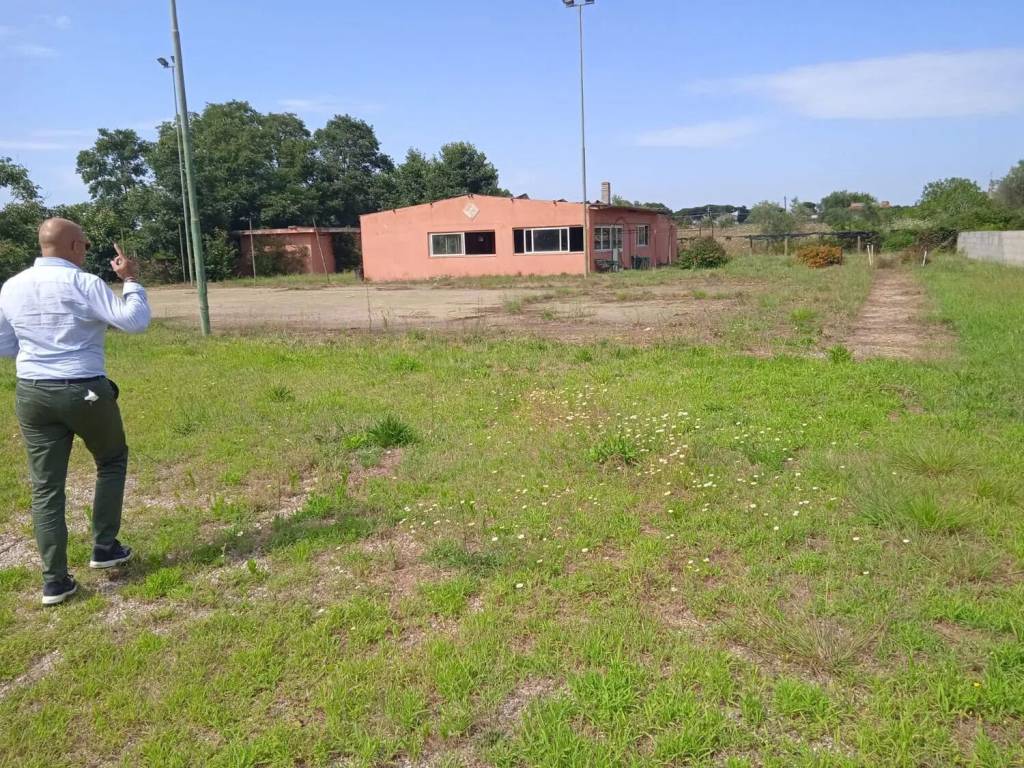 immagine annuncio 3 di 6