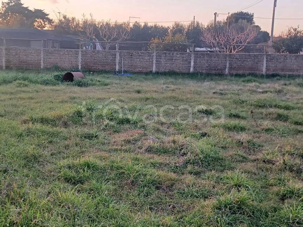 immagine annuncio 4 di 8