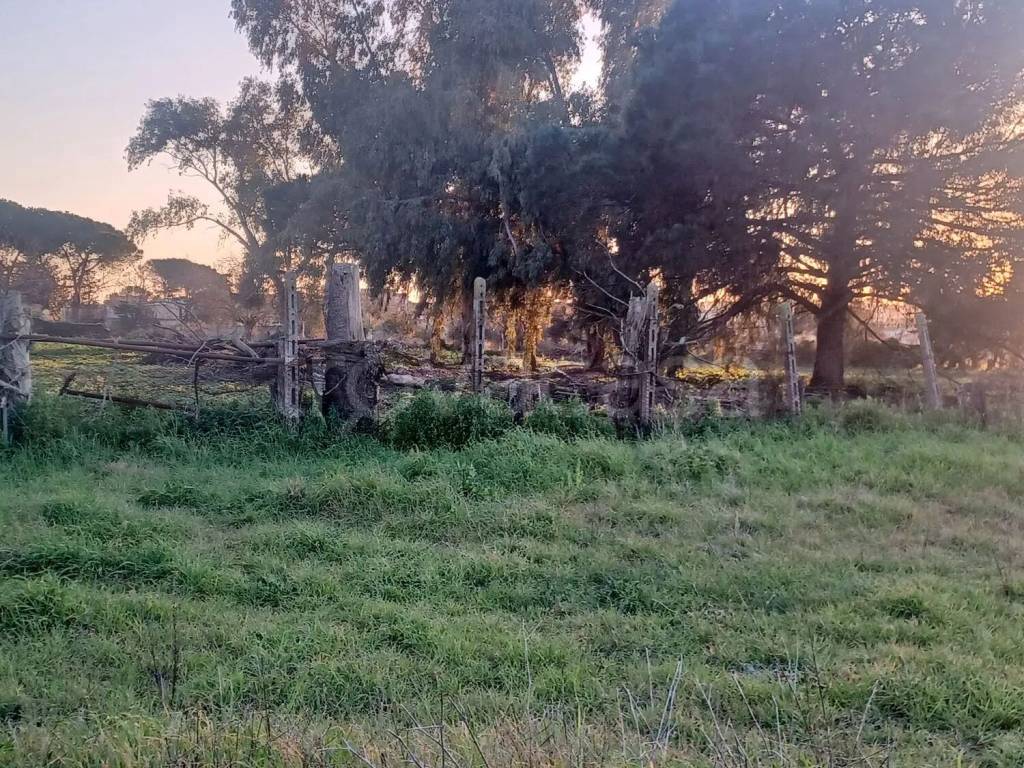 immagine annuncio 6 di 8