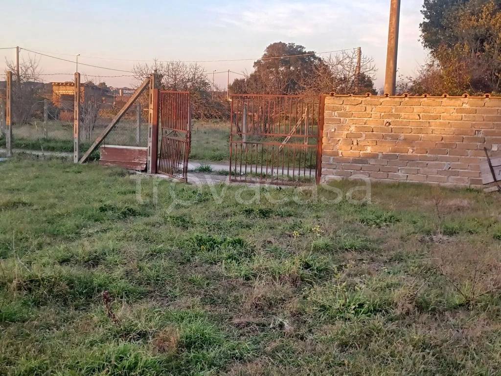 immagine annuncio 7 di 8