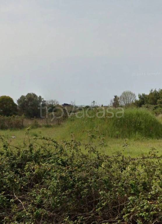 immagine annuncio 4 di 6