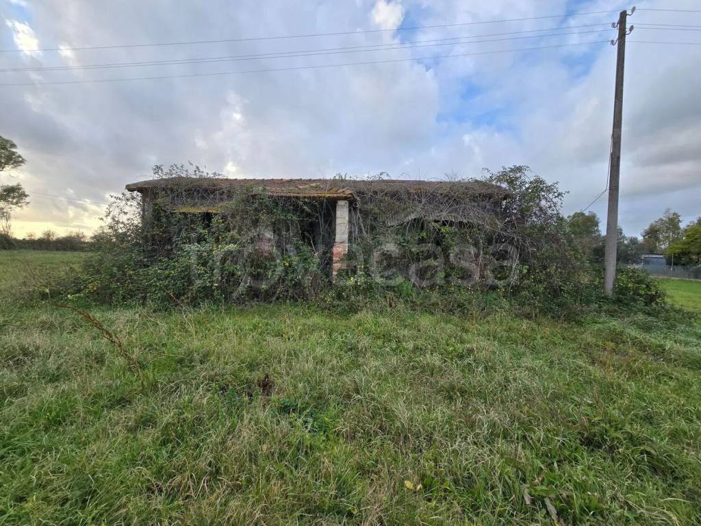 immagine annuncio 2 di 14