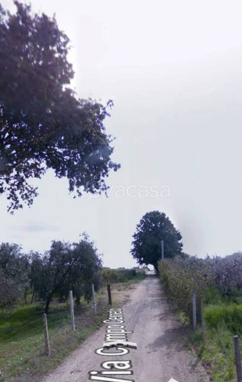 immagine annuncio 7 di 8