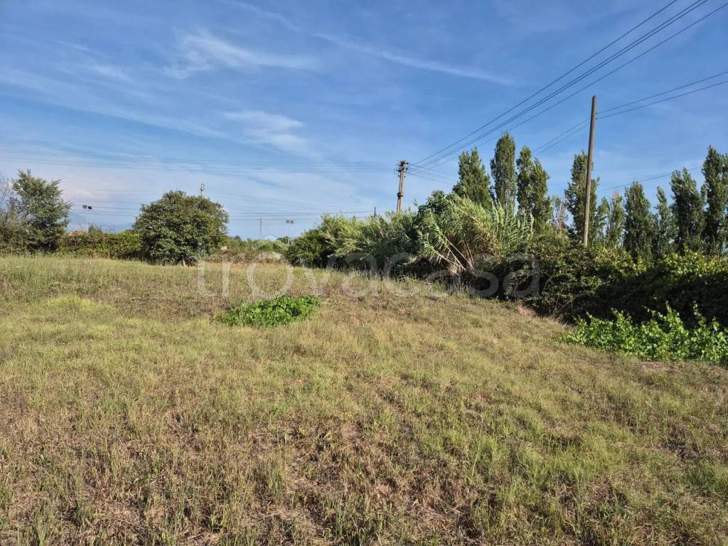 immagine annuncio 4 di 14