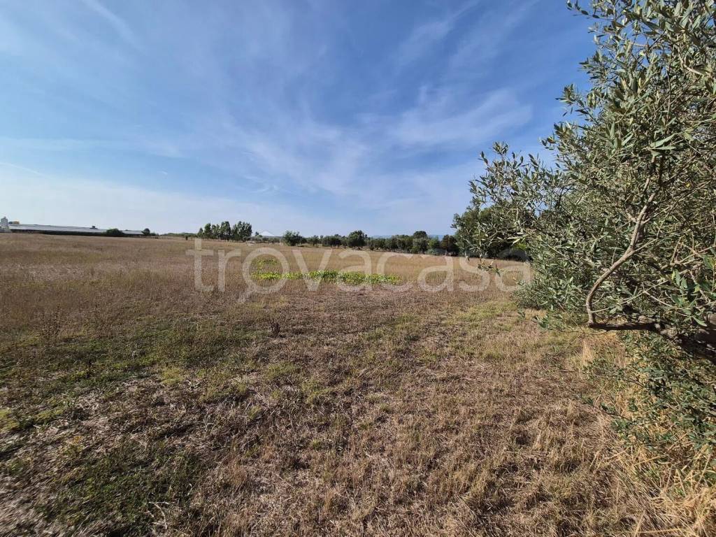 immagine annuncio 6 di 14