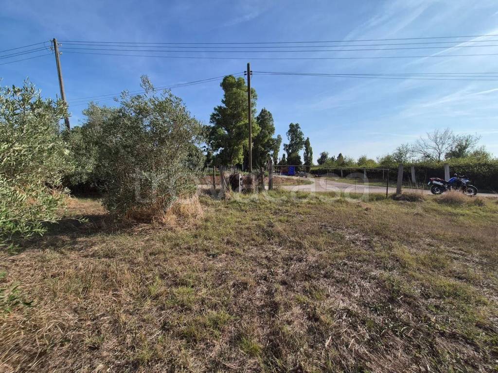 immagine annuncio 7 di 14