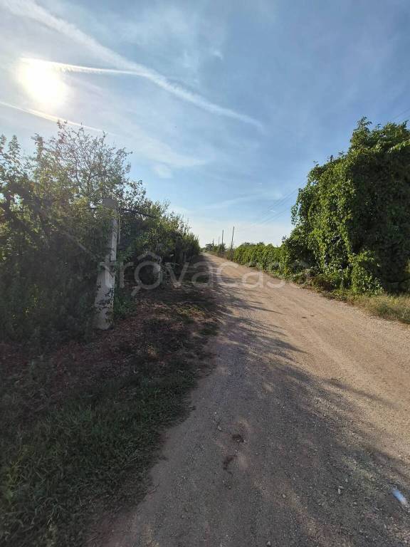 immagine annuncio 9 di 14