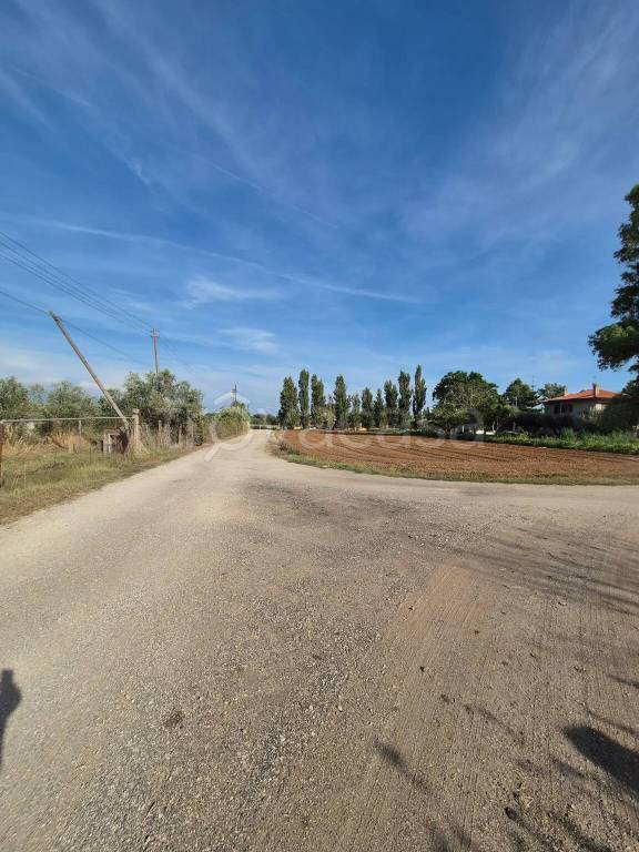 immagine annuncio 10 di 14