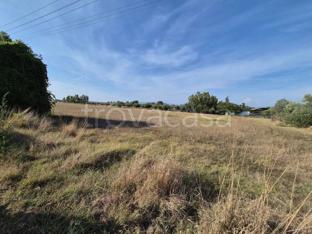 immagine annuncio 11 di 14