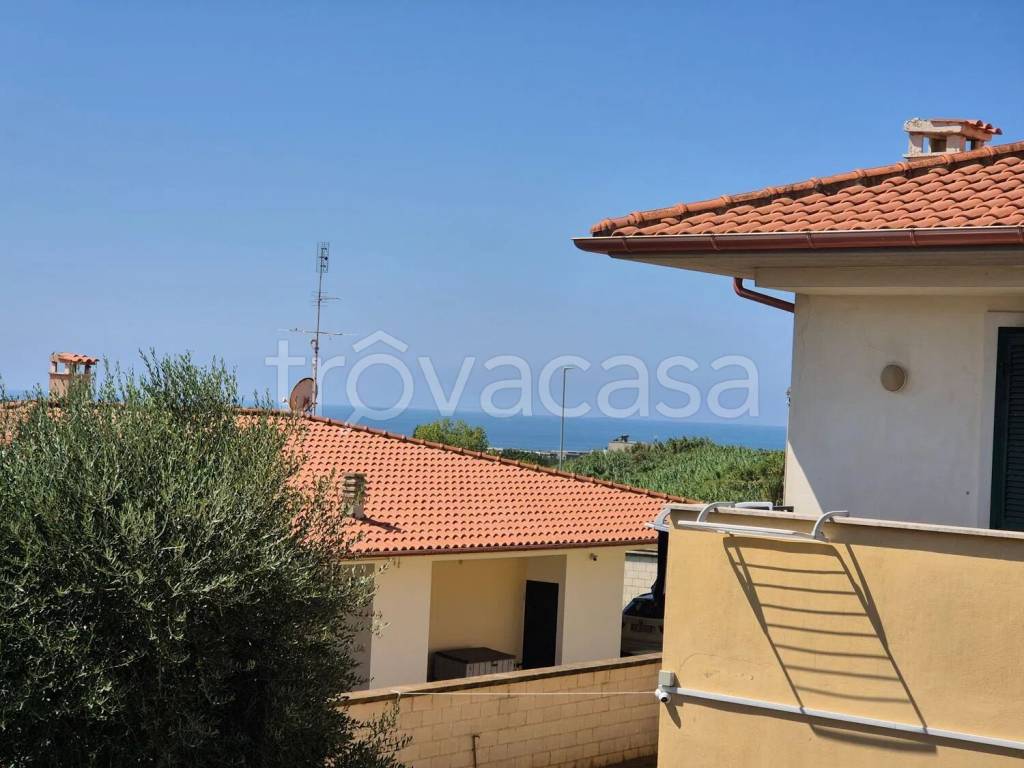 immagine annuncio 12 di 14