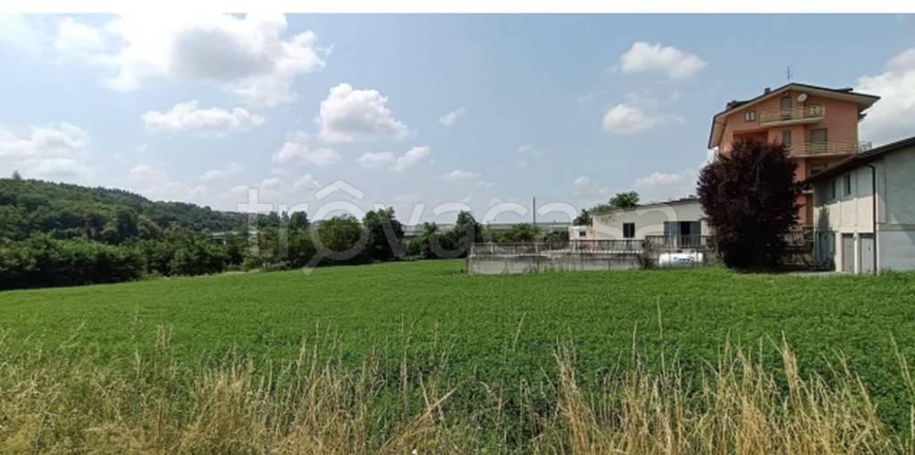 immagine annuncio 2 di 11