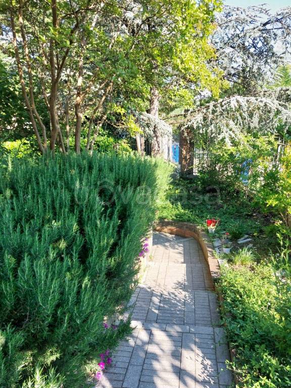 immagine annuncio 4 di 8