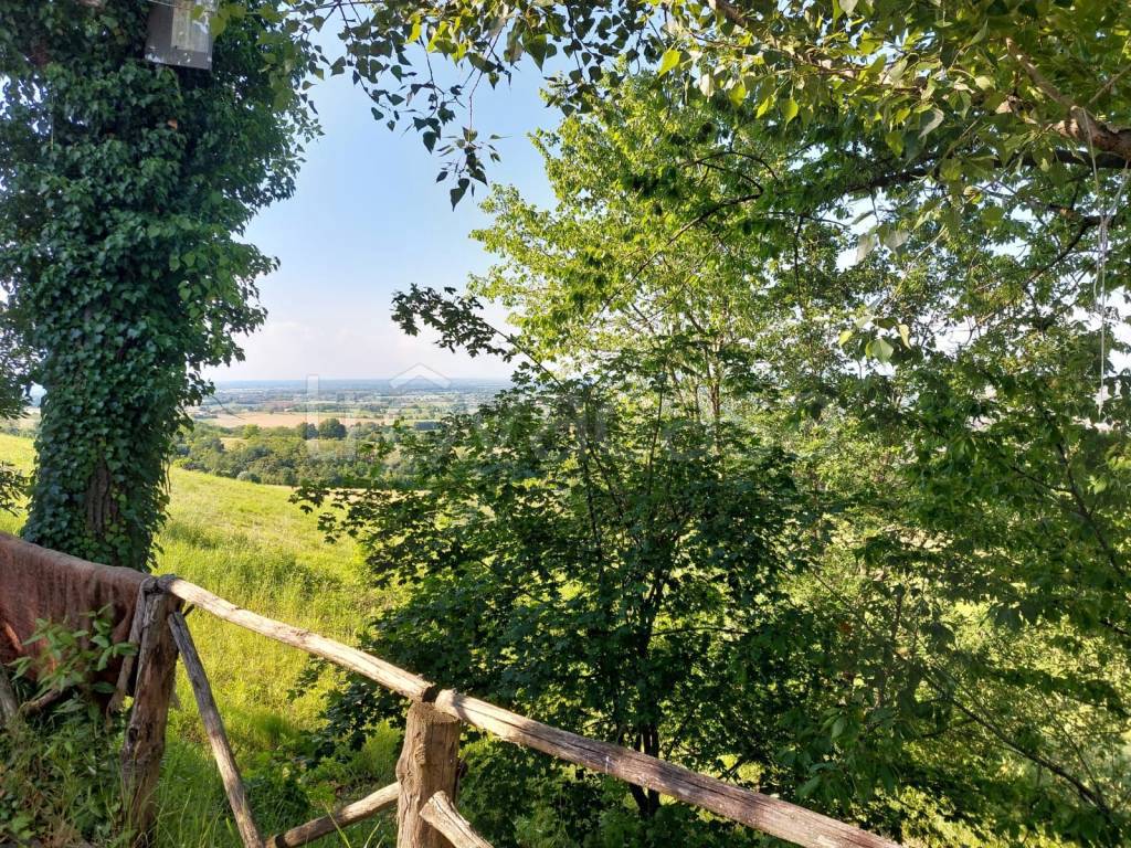 immagine annuncio 3 di 8