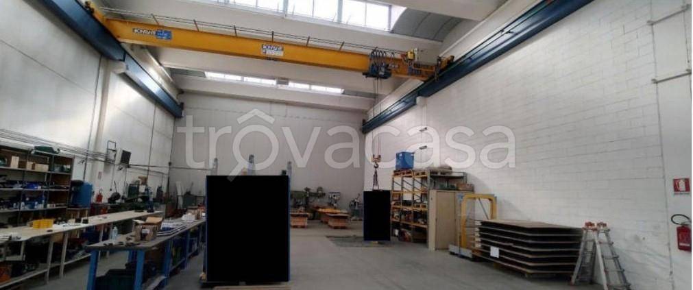 immagine annuncio 5 di 15